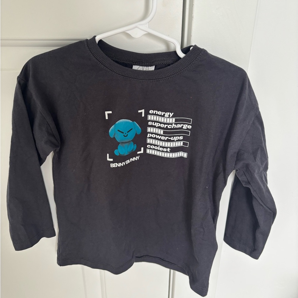 ZARA toddler graphic long sleeve